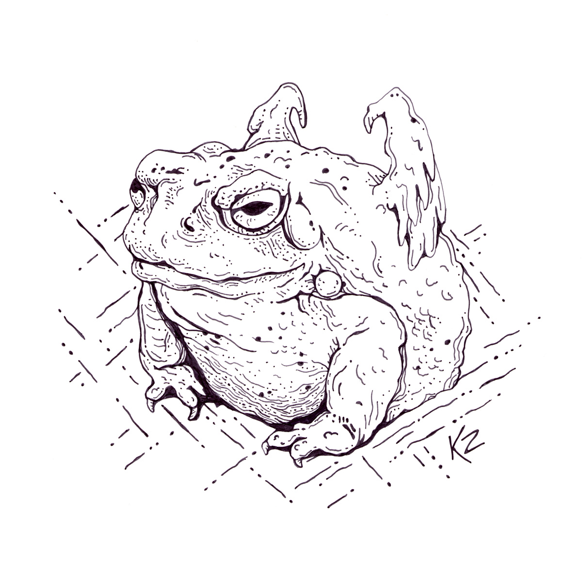 Stubborn – 11x11 - Image 1