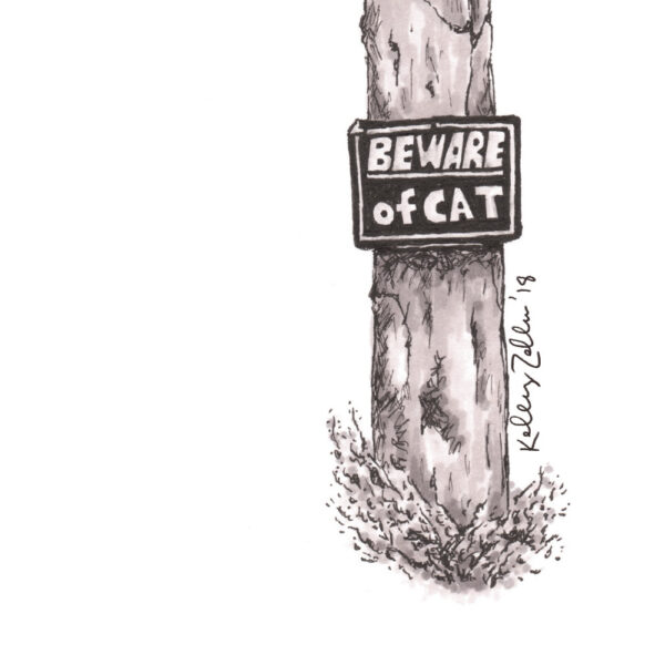Beware of Cat – 11x14