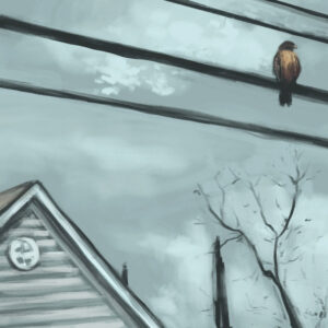 The Hawk on Iredell Street – 11x14 - Image 2