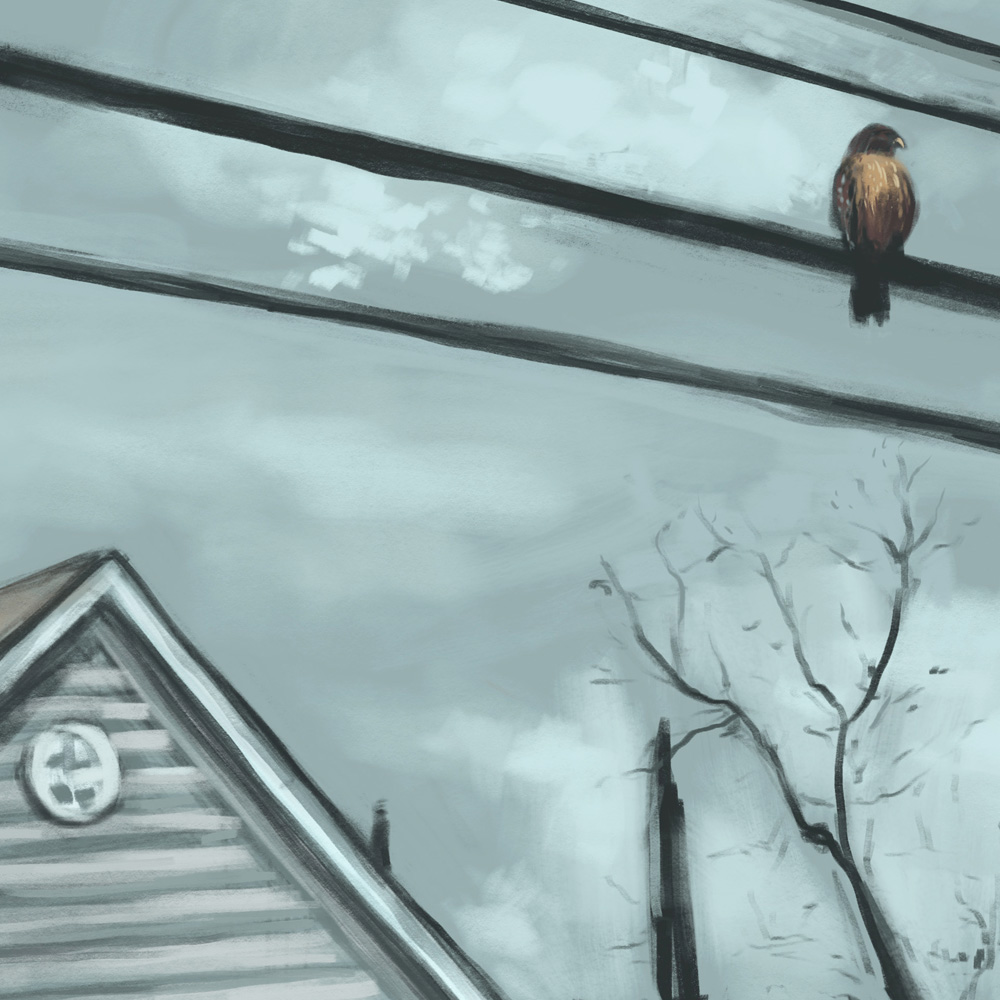 The Hawk on Iredell Street – 11x14 - Image 2