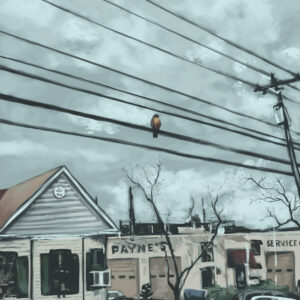 The Hawk on Iredell Street – 11x14
