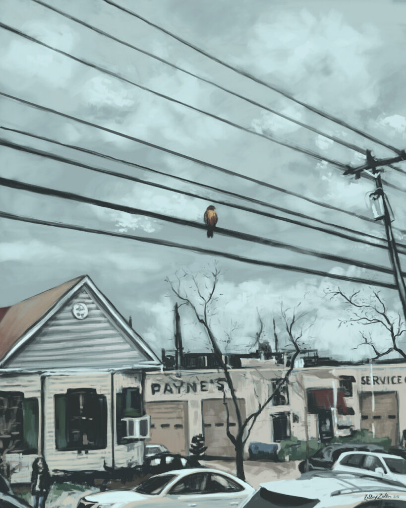 The Hawk on Iredell Street – 11x14