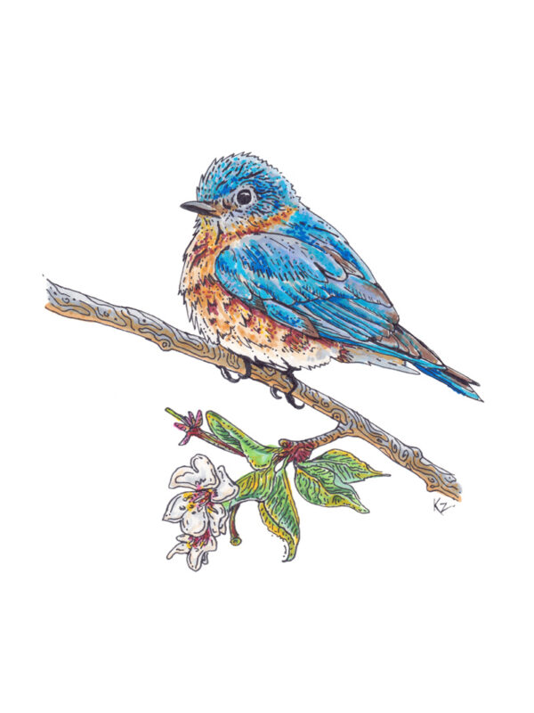 Bluebird – 6x8