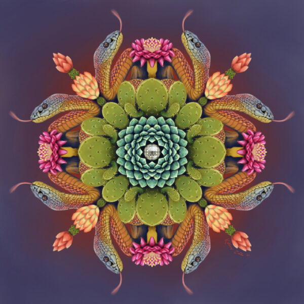 Desert Snakes – 8x8