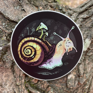 Snail Shroom