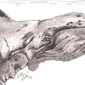 Whale – 9x12 - Image 2