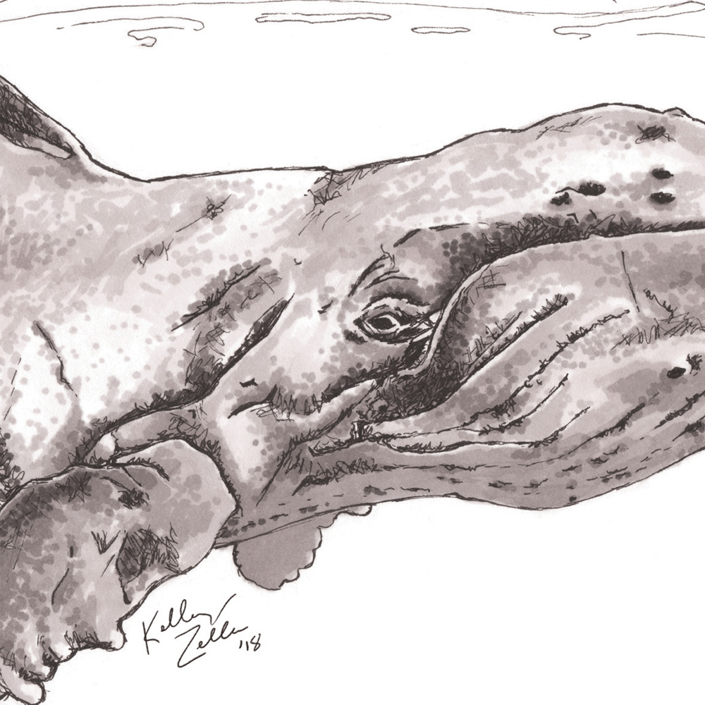 Whale – 9x12 - Image 2