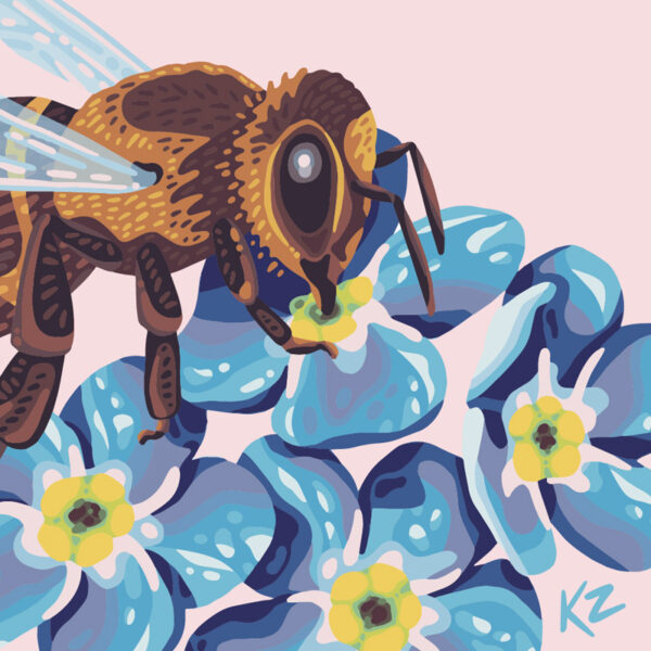 Honey Bee – 8x8
