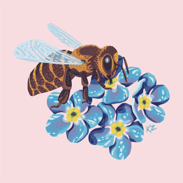 Honey Bee – 8x8