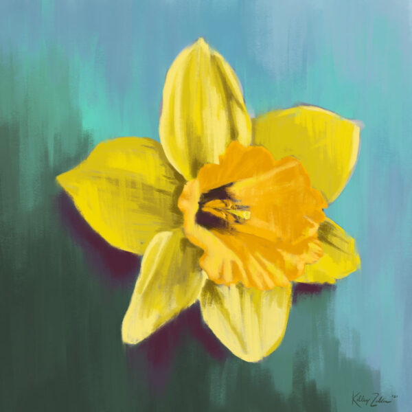 Daffodil