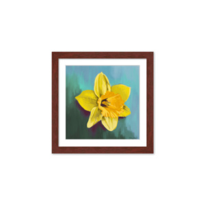 Daffodil - Image 9