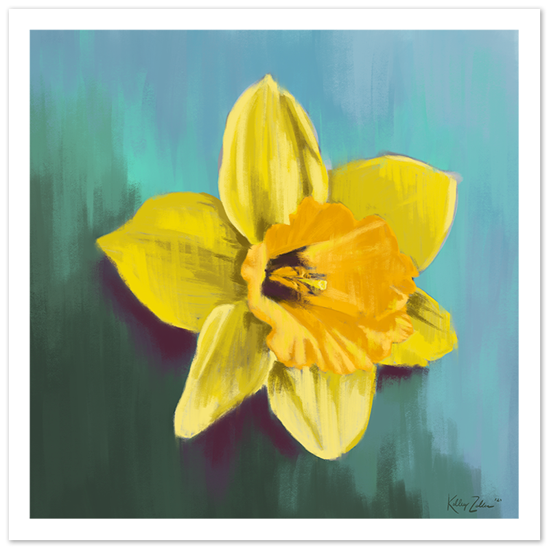 Daffodil - Image 6